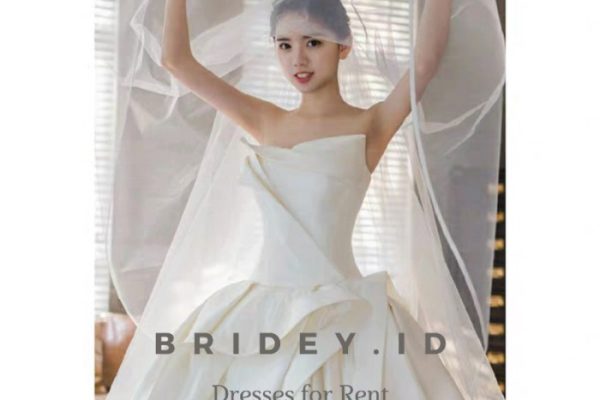 Wedding dresses for rent in dallas tx